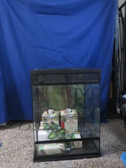 Tropical Reptile Terrarium