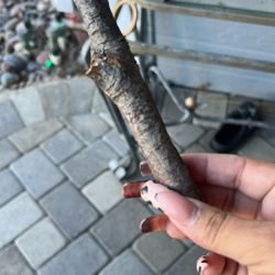 Spirit Stick