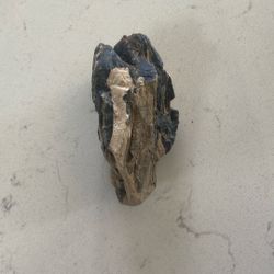 Petrified Wood