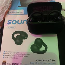 Soundcore  C50i earbuds