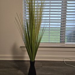 Decorative Plant And Vase