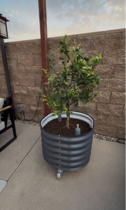30 Gallon Metal Rolling Self-Watering Planter
