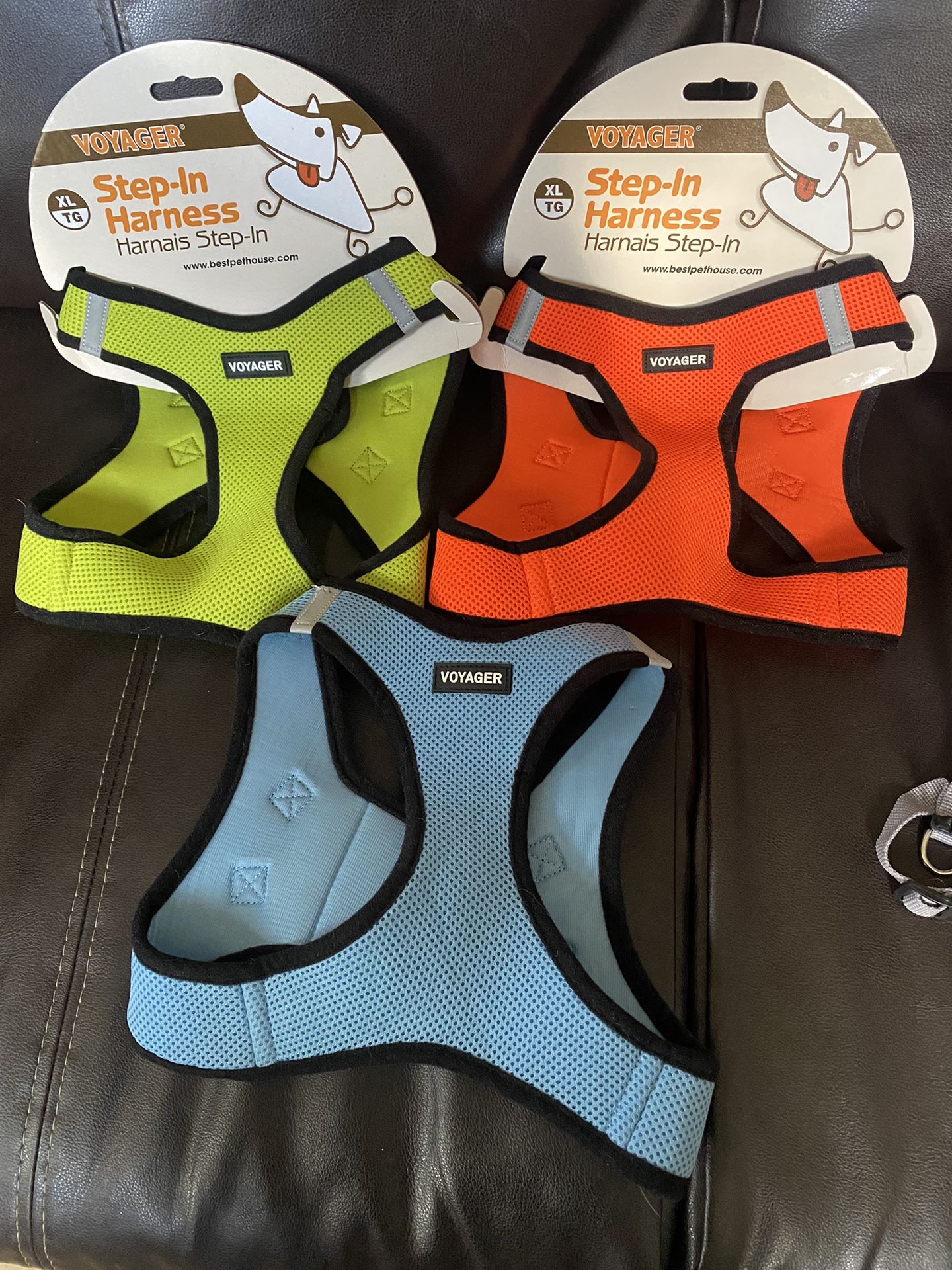 Extra Large Slipping In Harness 
