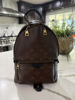 Louis Vuitton Palms Springs Pm