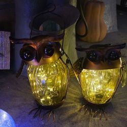Garden Solar Owl