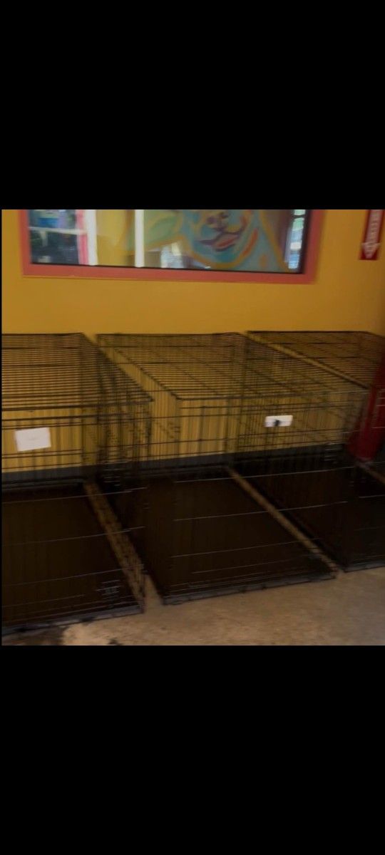 Medium Dog Crates