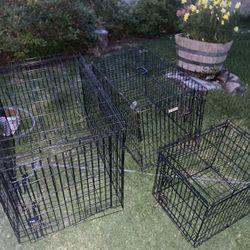 Dog cages 