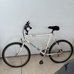 Traverse Diamond Back Bike