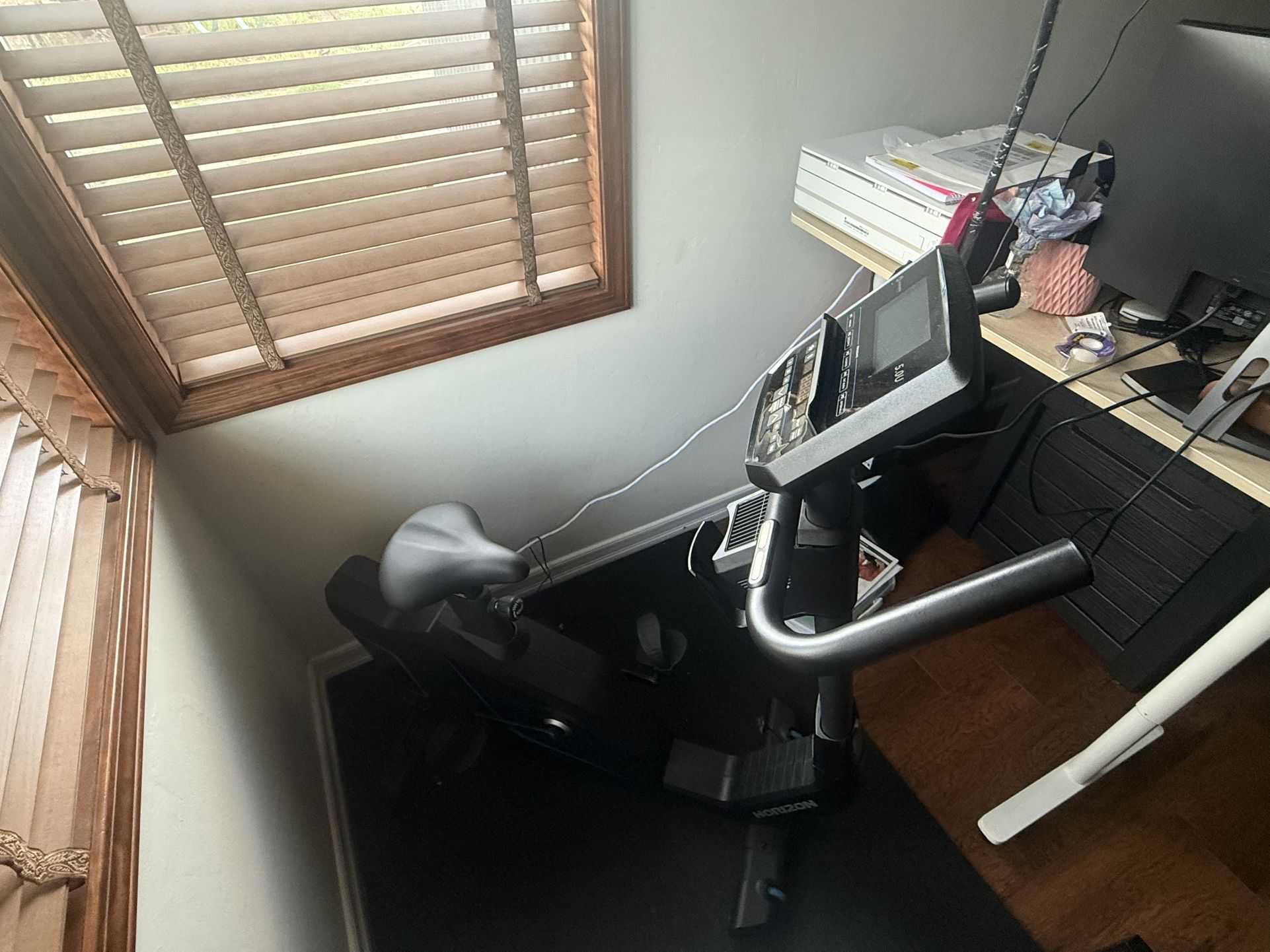 Horizon Upright Exercise Bike