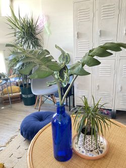 Tall blue vase and fake plants