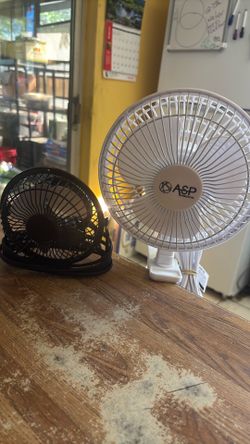 Fans