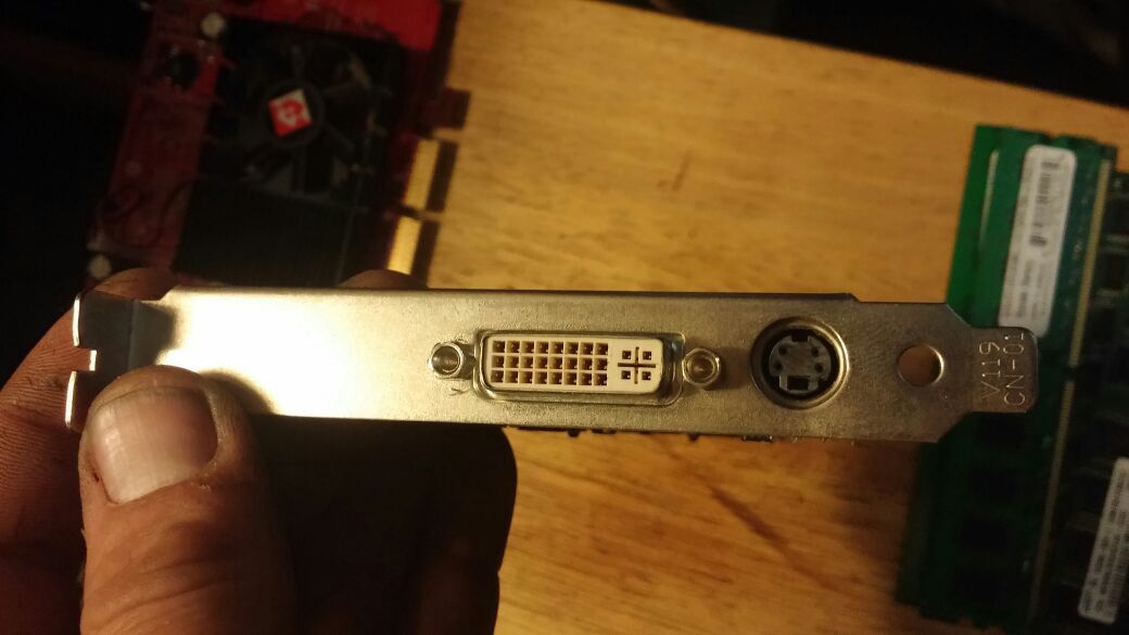 nVidia Graphics Card