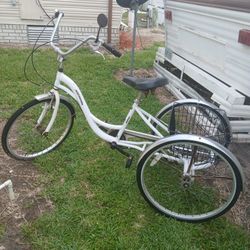 Slenda 3 Wheel Bike