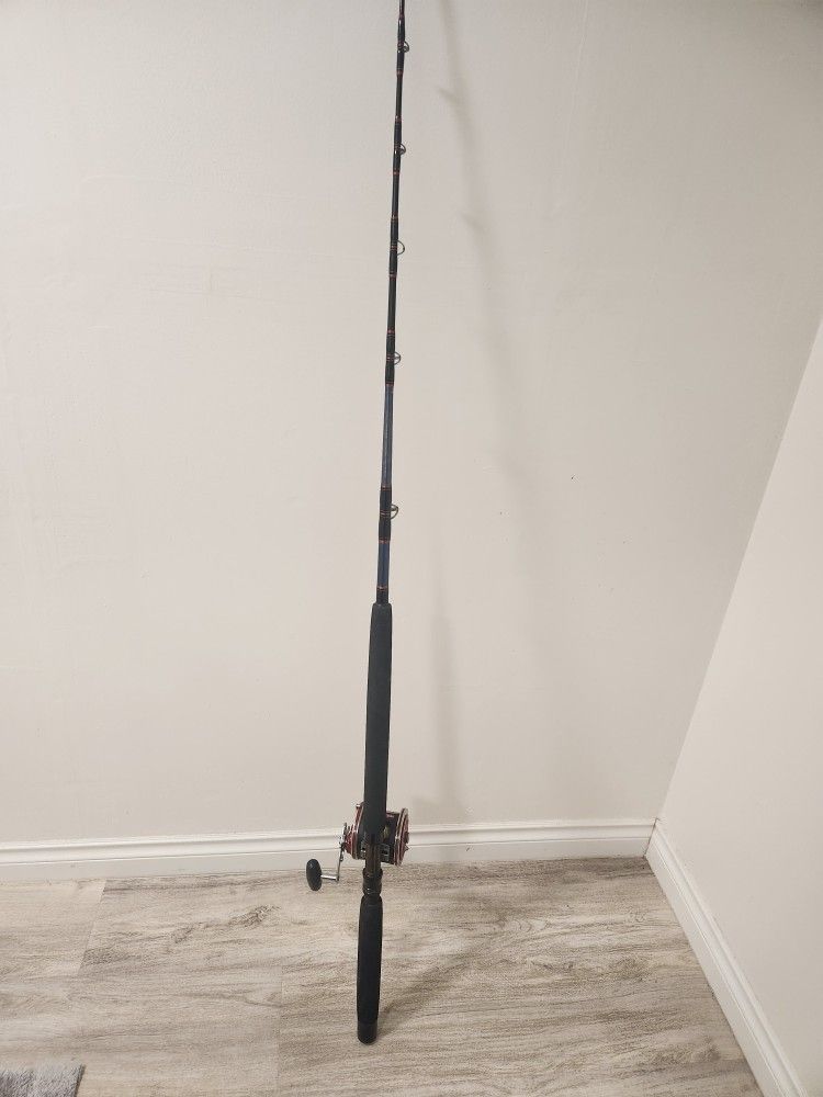 Fishing rod with penn reel