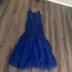 Elegant Prom/Party dress