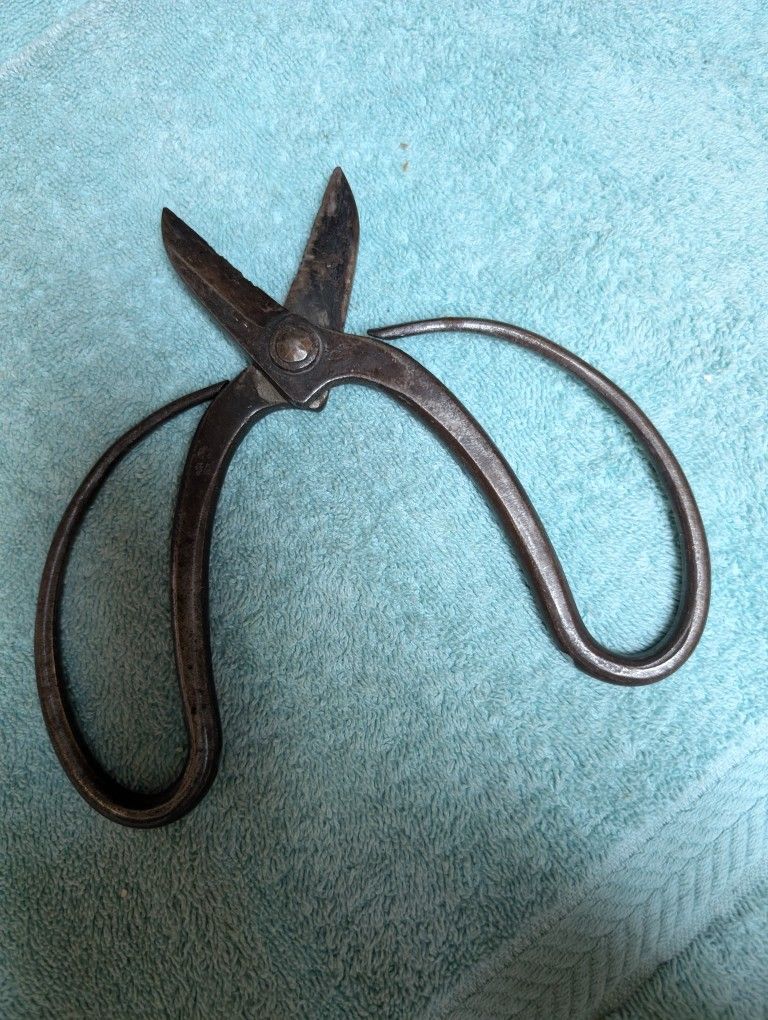 Vintage Circular Scissors