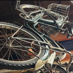 Schwinn 
