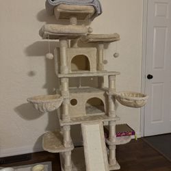 Cat Tree