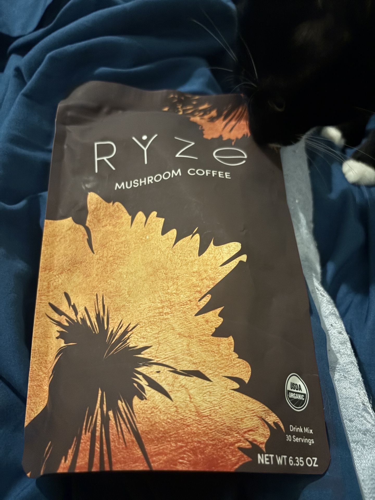 RYZE Mushroom Coffee