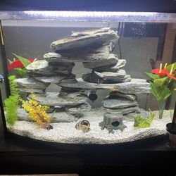 Aquarium Decor