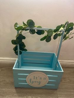 Gender reveal it’s a boy