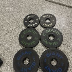 Weights - 1.5 Pounds, 2.5 Pounds, 5 Pounds