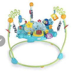 Baby Einstein Activity Jumper