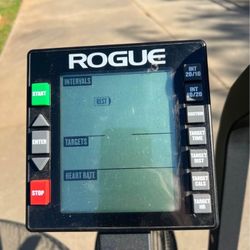 Rogue-Echo~Bike 