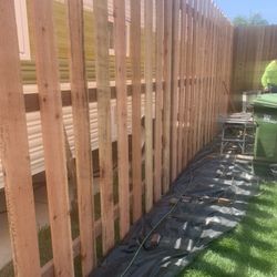 Fence 