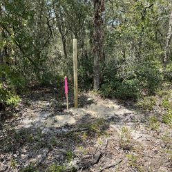 1.23 Acres Of AG Land In Dunnellon (Ocala) Fla