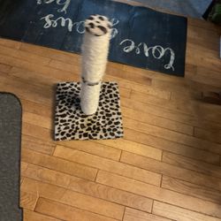 A Beautiful Cat Tree For Your Cat To Scratch (NO SHIPPING)