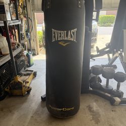Everlast Power core heavy bag 