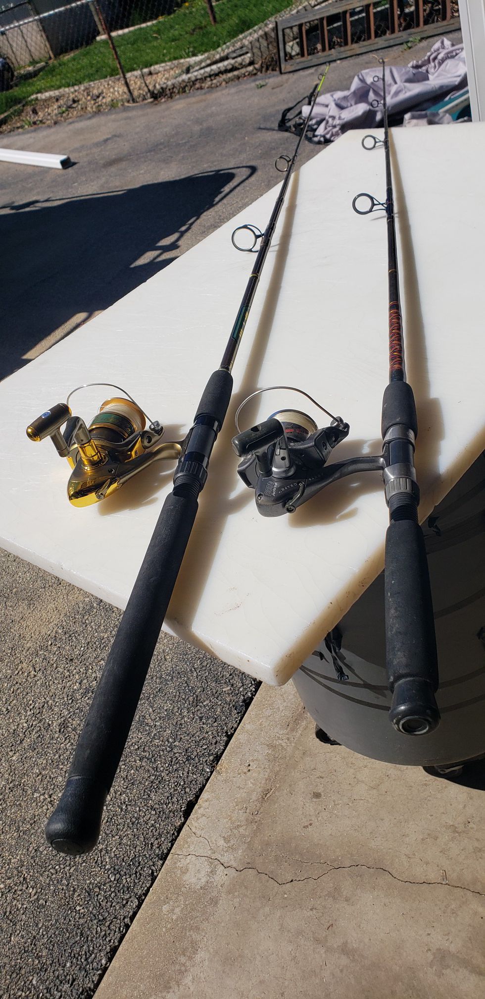 Cat fish fishing rods