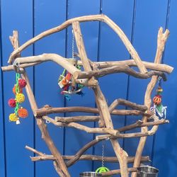 Parrot Perch Tree… Made Of Hard Durable Ribbon Wood… Loved By Birdees ! ❤️