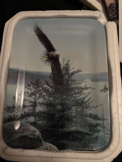Bradford Exchange Northwoods Grandeur "High Above the Crystal Lake" Eagle Plate