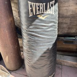 Everlast Punching Bag