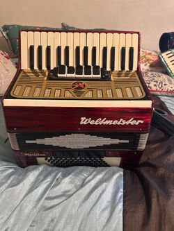 Accordian