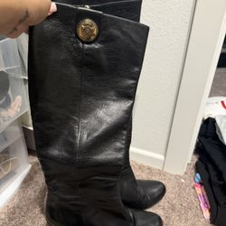 Gucci Darwin Crest Boots