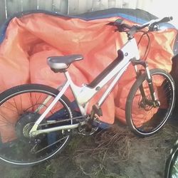 Evantage Ebike "Polaris"