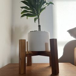 Acacia Wood Plant Stand / Base 