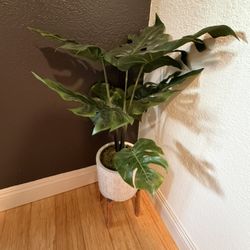 Modern Faux Monstera Plant in Ceramic Pot + Wooden Stand 