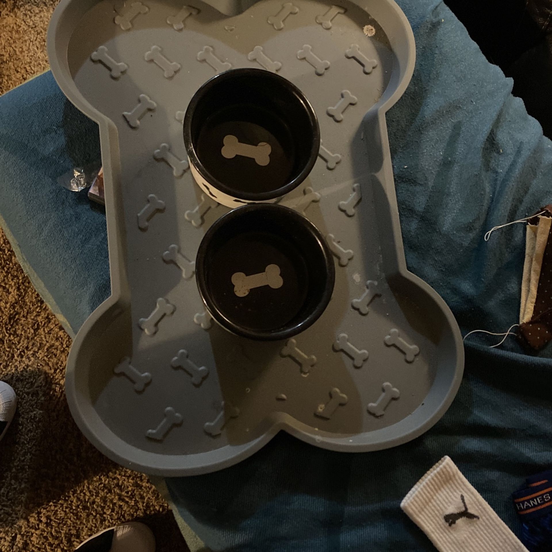 Bone Shaped Dog Feeding Tray And 1Matching Dosh