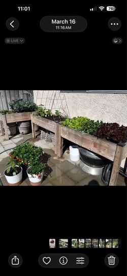 Garden Planter Box.  Self Watering