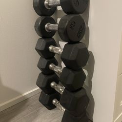 Troy Dumbbells