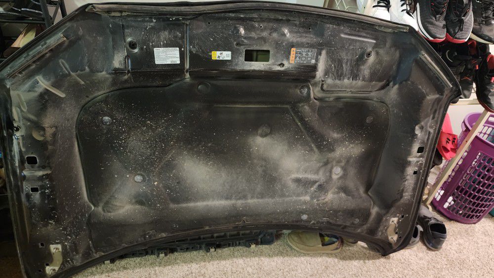 2019 Ford F150 Hood (Damage)