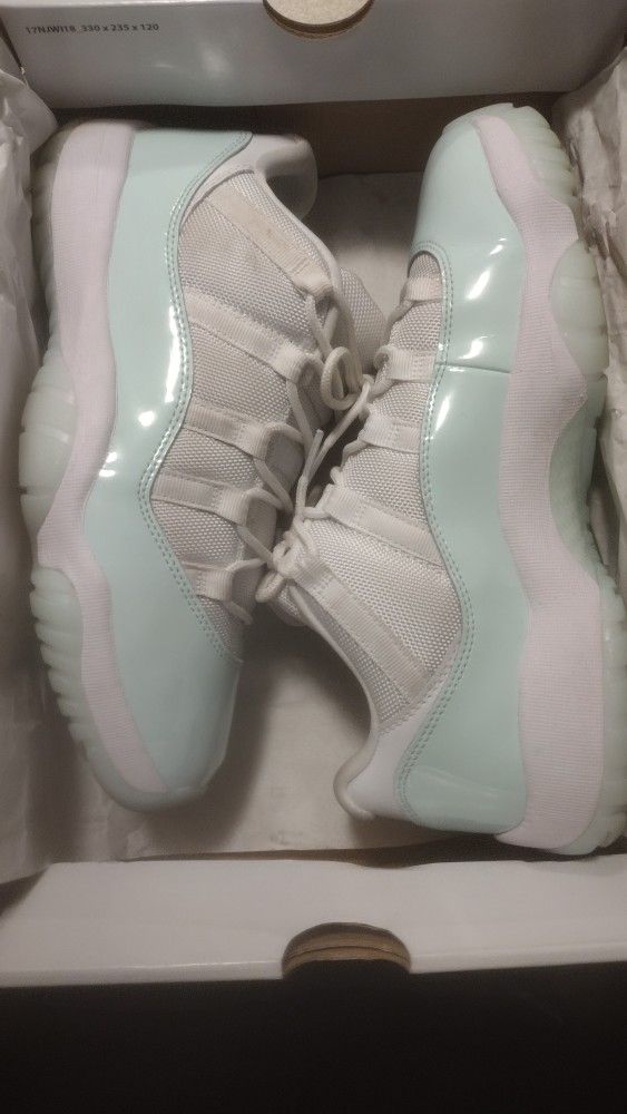 Jordan 11 Igloo