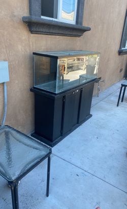 Fish Tank