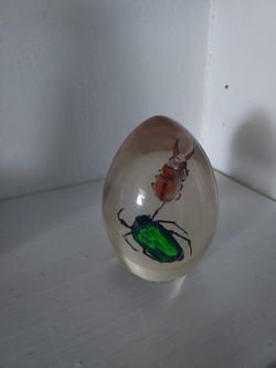 Bug Resin Paperweight 