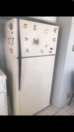 Fridge 