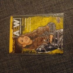 Aew Wrestling Card Dr.britt Baker Victorious On The Road To A World Title 